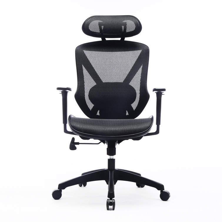Inbox Zero Office Ergonomic Mesh Desk Chair Wayfair.co.uk